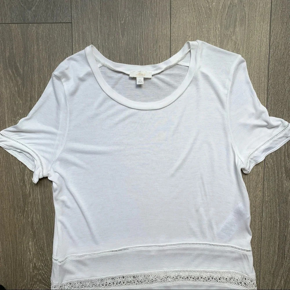 Aritzia Wilfred Reve T-Shirt Lace Short Sleeve Crew Neck White Size XS - Picture 3 of 12